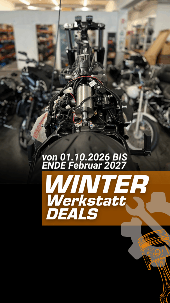 Winter Werkstatt Aktionen